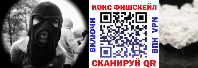 COCAIN FishScale  Купить закладки  Великий Устюг 
