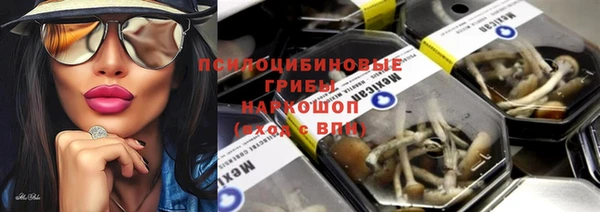 герыч Вязьма