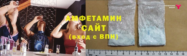 мдпв Вяземский