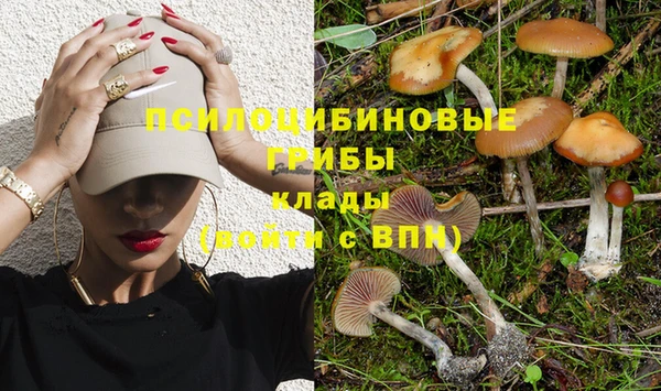 мдпв Вяземский