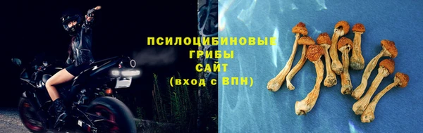 герыч Вязьма