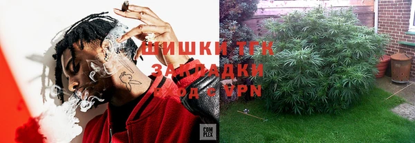 мдпв Вяземский