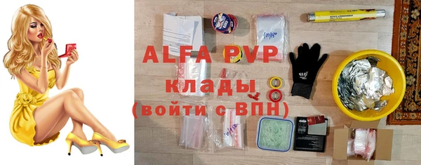 мдпв Вяземский